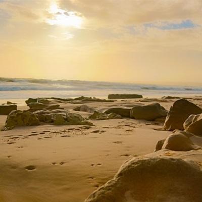 乐鱼竞彩官网手机app下载