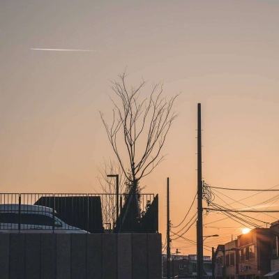 熊猫娱乐appapp下载