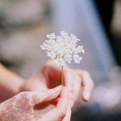 香港最准资料免费公开手机app下载